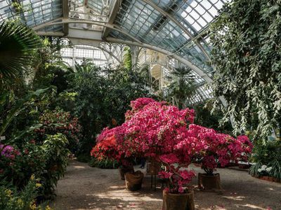 Der Botanische Garten Schnbrunn - Pflanzenpalste im Garten der Kaiser