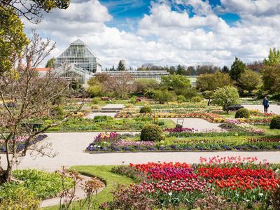 Der Botanische Garten Mnchen - fantastische Flora in Nymphenburg
