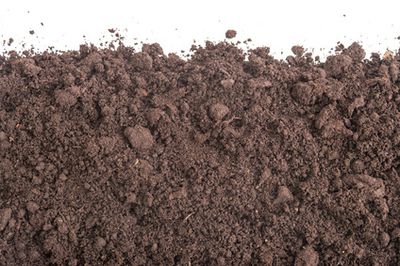 Mutterboden im Garten: Auff&uuml;llen, Entsorgen, Sieben, Kaufen &amp; Kosten
