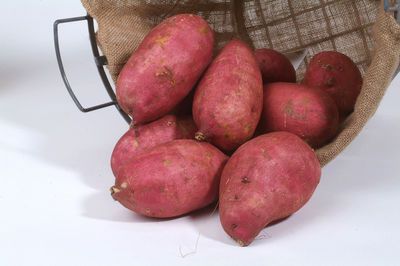 Ssskartoffeln anbauen &#8211; Lubera Kulturanleitung zu Anbau, Pflege, Kultur & Ernte der Ssskartoffeln