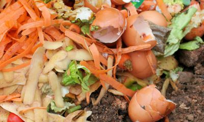 Bokashi Kompost - Der perfekte Dnger, den man selber herstellen kann